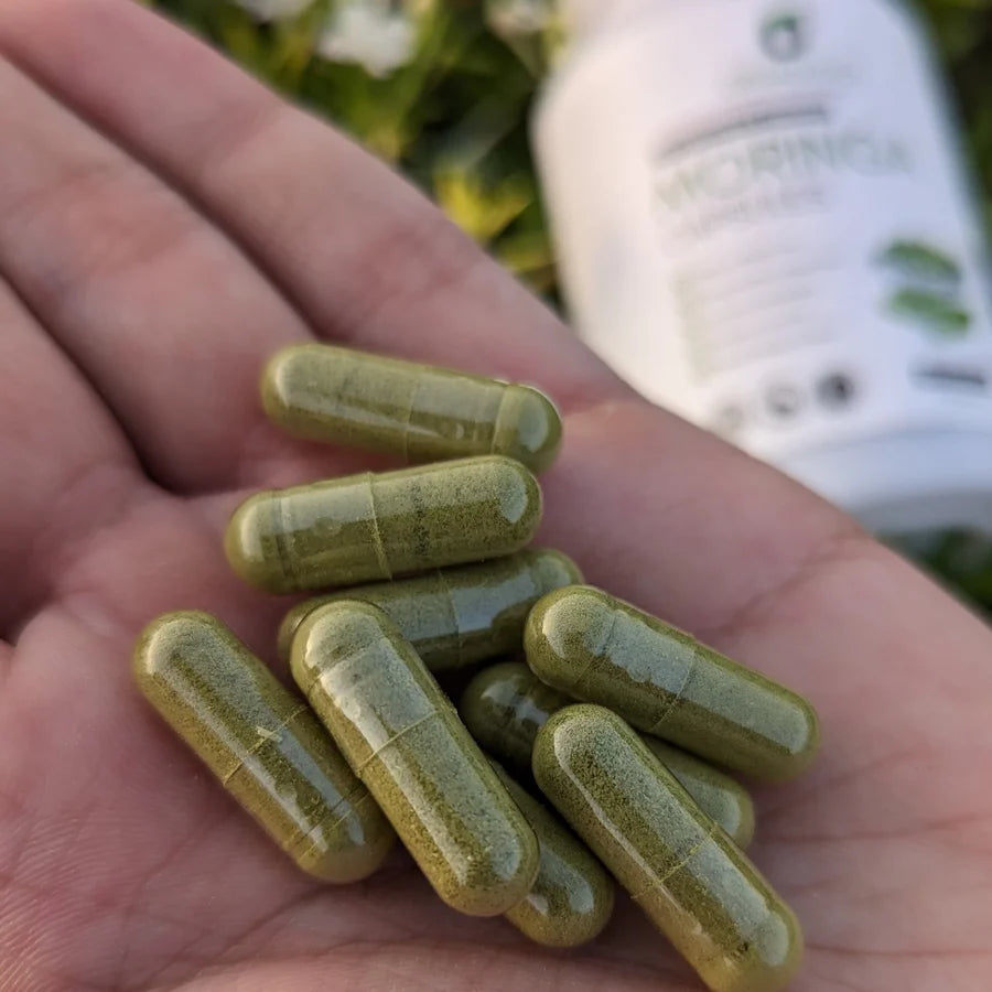 Moringa Capsules Herbal